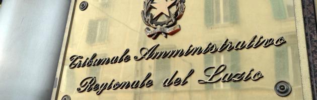 tar-del-alzio-targa_interna-nuova